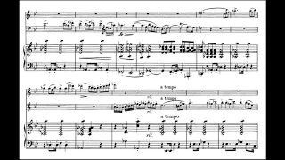 F. Schubert - Piano trio in B flat major No. 1, op.99 (w/score)
