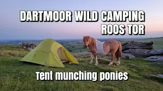 Roos Tor Dartmoor, Wild Camping