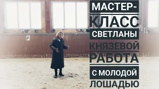 Мастер-класс МСМК по выездке Светланы Князевой. Часть 2. Работа с молодой лошадью.