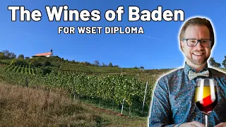 The Wines Of Baden for WSET Level 4 (Diploma)