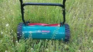 Mowing Wildflowers with Bosch AHM 38 G Mechanical Lawnmower (Free Spreader Groundcover)