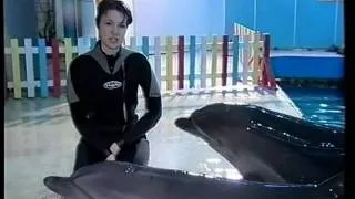 Москва Утришский дельфинарий (видео под водой) 1-3
