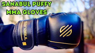 The Best MMA Gloves on the market 🔥