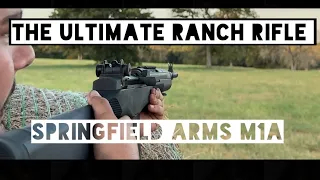 Springfield Arms M1A Squad Scout .308 | The Ultimate Ranch Rifle