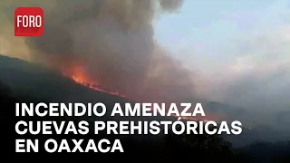 Incendio forestal del valle de Tlacolula amenaza sitios patrimoniales de Oaxaca - Sábados de Foro