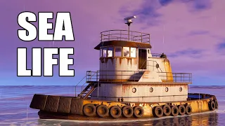 i lived in a tugboat for a week and this is what happened...