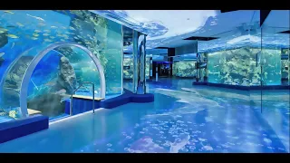 🐟 Field Trip at the Aquarium 🐠 Vaporwave Music Mix 🐡