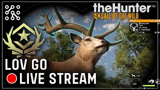 LIVE - LOV GO Jelena - Cuatro Colinas | The Hunter: Call of the wild CZ  | Lets play | Česky