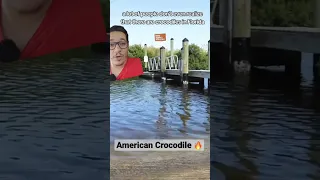 Man attacked by Crocodile in Florida