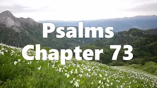 The Book of Psalms Chapter 73 - New King James Version (NKJV) - Audio Bible