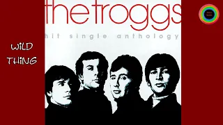 Wild Thing - The Troggs  (New Stereo Remix)