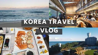 Day Trip to Gangneung | Korea Travel Vlog Part 1