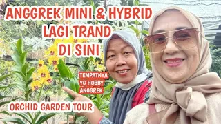 PERGI KETAMAN ANGGREK  TMII |DIJUAL HASIL SILANGAN & ANGGREK MINI BAGUS2 |JAKARTA ORCHID GARDEN TOUR