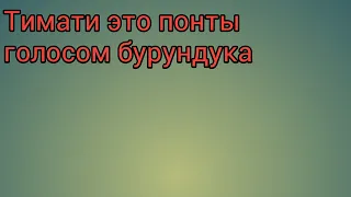 Тимати это понты голосом бурундука