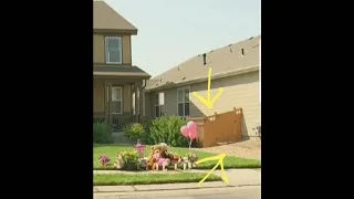 CHRIS WATTS "DOG ALERTS ON GRAVEL PATH!!!!" FOR MY SWEET ALICE. LINKS IN DESCRIPTION