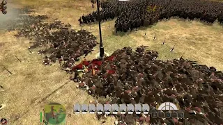 Carcass shot - fun - Empire total war