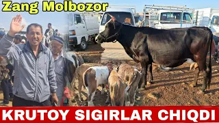 SOG'IN SIGIRLAR NARXLARI QULAY BO'LIB QOPTIMI? SURXONDARYO MUZRABOT ZANG MOLBOZORI 18.05.2024