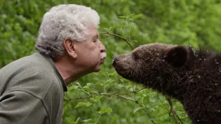 The Adventures Of Orphaned Bear Cubs In The Carpathian Mountains | Wildlife Documentary