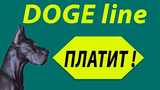 Новый КРАН DOGE line Тестовая выплата