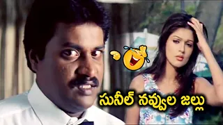 సునీల్ నవ్వుల జల్లు | Sunil Back To Back The Best Comedy Scenes | Movie Time Cinema