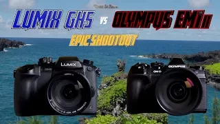 Panasonic GH5 vs Olympus OM-D EM1ii Epic Shootout | Which Camera to Buy Tutorial