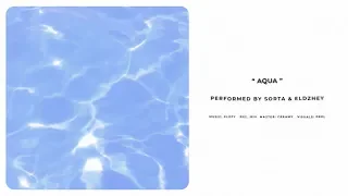 Sorta & Элджей - Aqua (Lyric Video)