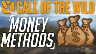 INSANE MONEY METHODS! | theHunter: Call Of The Wild | MONEY & XP