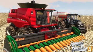 INICIANDO A COLHEITA DO MILHO SAFRINHA || PARANAZÃO V2 || FARMING SIMULATOR 19 || #72 G29