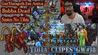 BUBBA DEAD, GAZ'HARAGOTH IN ANTICA, SUSTOS NO TIBIA, ITEXO EL MALVADO - Tibia Clipes GW#18