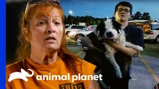 A Miracle Dog Rescue During Terrible Floods In Louisiana | Pit Bulls & Parolees