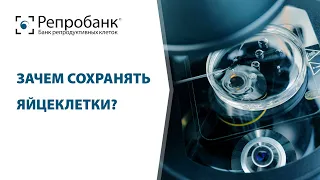 Зачем сохранять яйцеклетки?