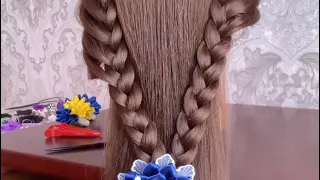 HAIRSTYLES/  BRAIDING OF HAIR/ HAIRSTYLE OF 5 minutes/  HAIRSTYLES IN SCHOOL