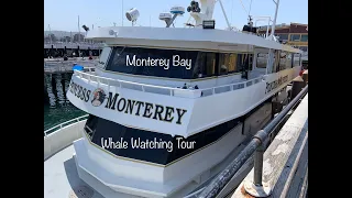 Princess Monterey Whale Watching tour
