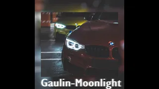 Gaulin - Moonlight (Slowed and Reverb)