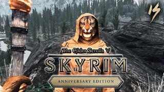 ДЕЛА КОШАЧЬИ ► Skyrim Anniversary Edition Прохождение #15