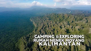 Camping Exploring : Menembus hutan belantara kalimantan - Tropical forest borneo
