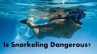 How safe or dangerous is snorkeling in Cape Town South Africa