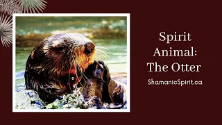 Animal Spirit Guide: The Otter (Shamanic Power Animal). Otter Symbolism