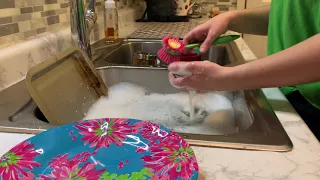 Relaxing ASMR Washing Dishes by Hand (Water/ Scrubbing Sounds) Sleep, Tingles, Stress Relief