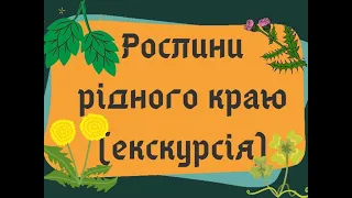 Рослини рідного краю (Екскурсія в природу)