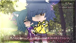 Клип «Кладбище домашних животных» {Алёна Швец} By Tylpanchik UvU //gacha life/gacha club//