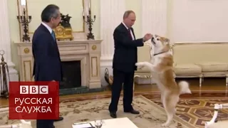 Собака Путина облаяла японских журналистов