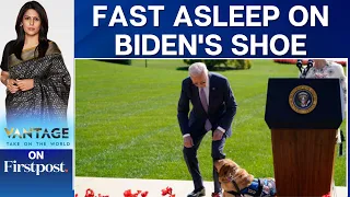 WATCH: Service Dog Falls Asleep on US President Joe Biden's Shoe | Vantage with Palki Sharma