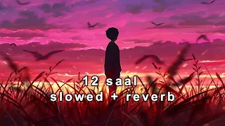 12 Saal (Slowed + Reverb) - Bilal Saeed | Ishq Be Parwah | Punjabi Song | Audio_Boxx