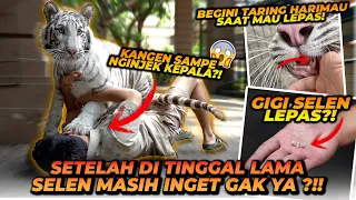 BEGINI REAKSI SELEN KETIKA KETEMU ALSHAD SETELAH DITINGGAL 11 HARI ! MASIH INGET GA YA ?