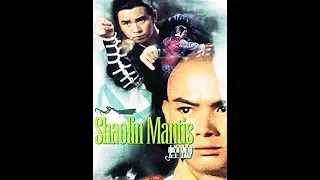 Шаолиньский богомол / Shaolin mantis