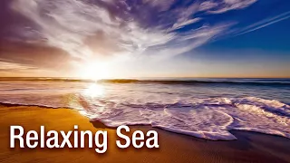 Sea ambience • Calming Beach & Nature Sounds • Chakra Healing ‖ 23 hz ‖ Binaural beats asmr | 4K HD