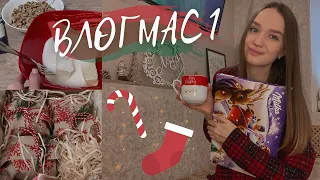 ВЛОГМАС 1 || УКРАШАЮ ДОМ, ГОТОВЛЮ И ЧИТАЮ САМУЮ МИЛУЮ КНИГУ 🎄🎁 #vlogmas #влогмас #книжныйвлогмас