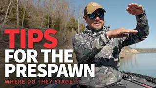 WHERE do they STAGE? (Pre-spawn Bass Fishing TIPS)