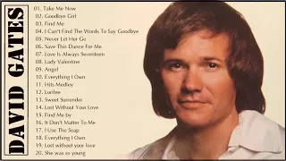 David Gates  Best Songs of Full Album 🎸🎸🎸  David Gates  Greatest Hits